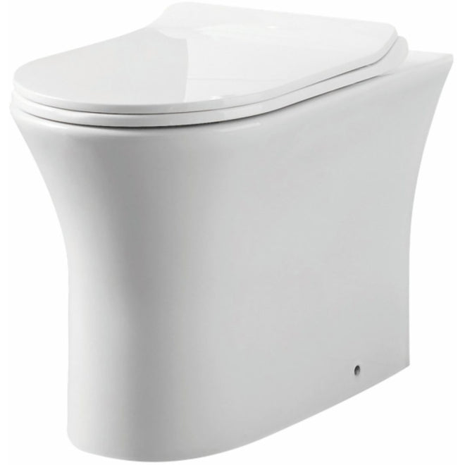 Deia Rimless Comfort Height Back to Wall Pan and Soft Close Seat
