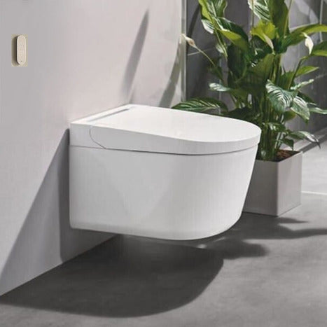 Grohe Sensia Pro Smart Japanese Bidet Shower Toilet 36508SH